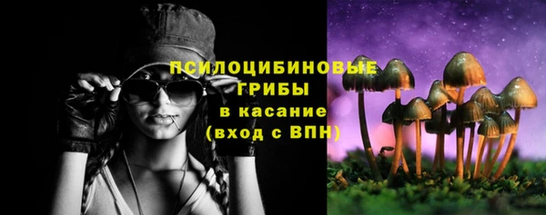 марки lsd Богородицк