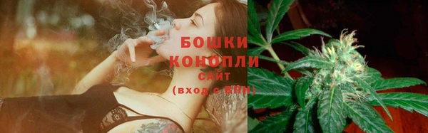 твердый Богородск