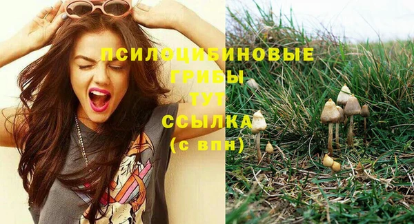 2c-b Богданович