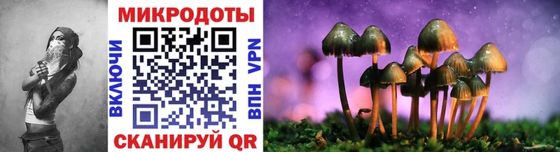 Галлюциногенные грибы мухоморы  Кириллов 